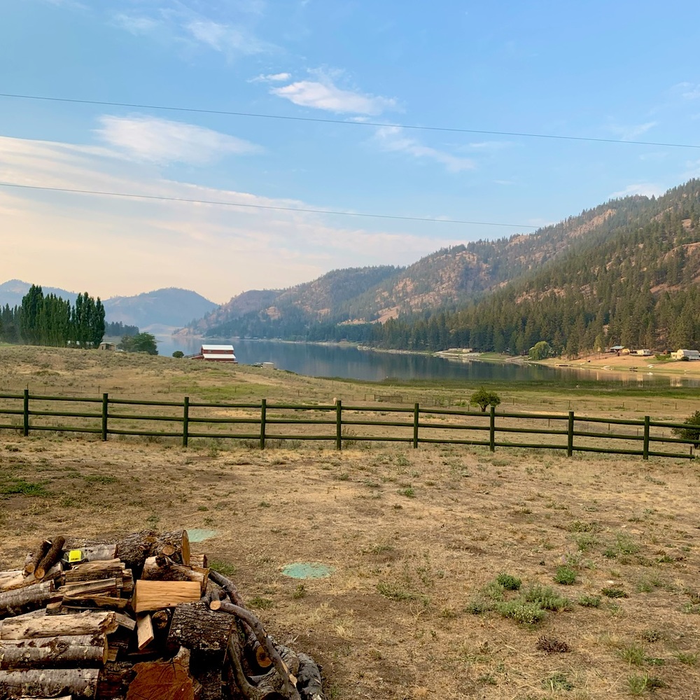 Meet your Posher, Riley